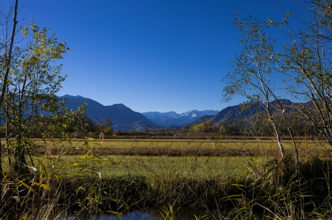 Murnauer Moos Murnauer Moos