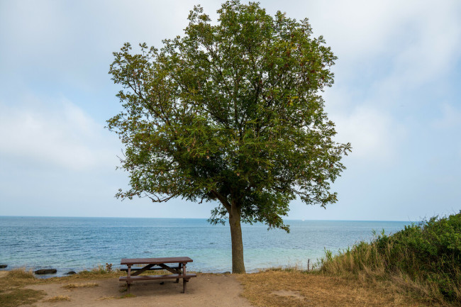 Ruheplatz am Meer