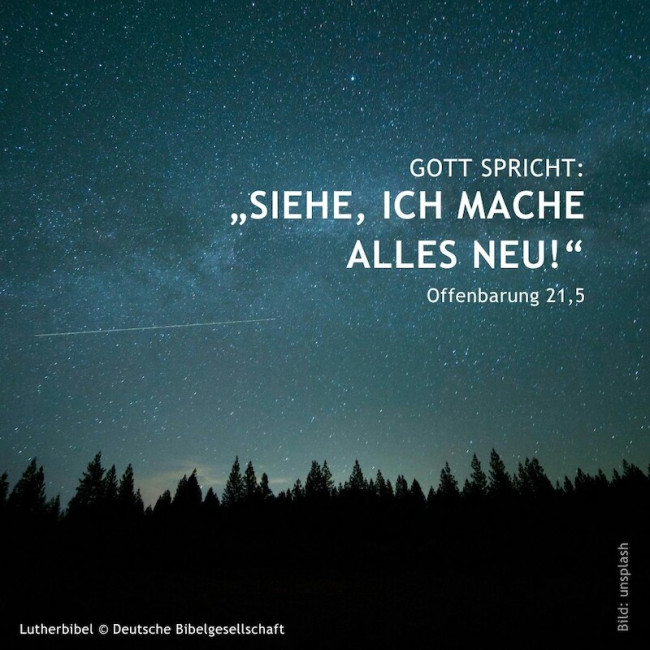 Jahreslosung_2026 1080x1080px - 6